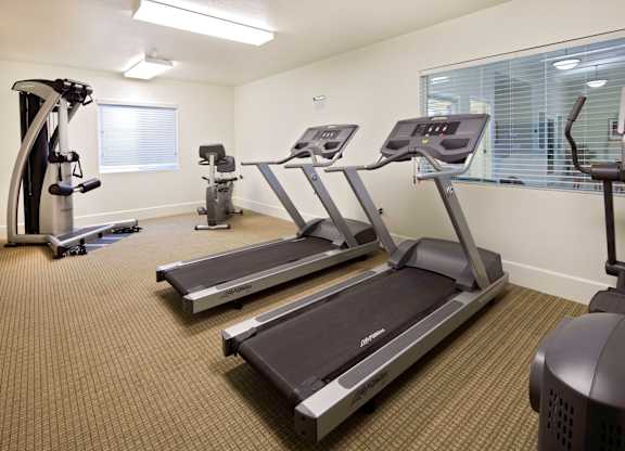 two treadmills and two ellipticals in the fitness room