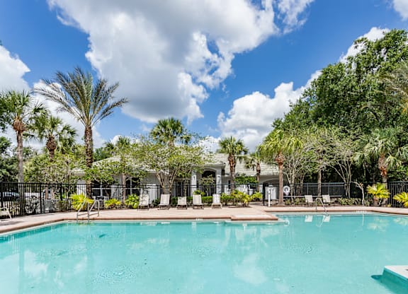 A swimming pool surrounded by palm trees and a fence.
