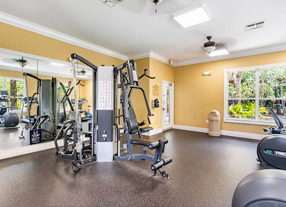 A gym with a variety of equipment including a treadmill, weights, and a bench press.