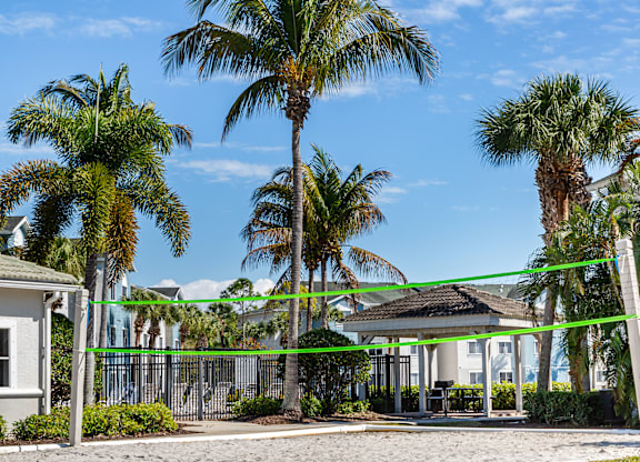 A volleyball net is strung between two palm trees.