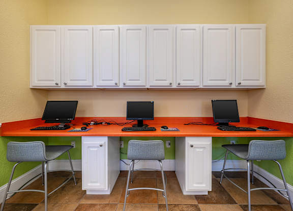 Business Center at Meridian Pointe Affordable Apartments in Tampa FL