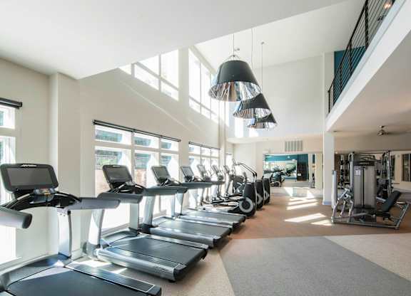 Professional Fitness Center at Parc at White Rock Luxury Apartments in Dallas TX