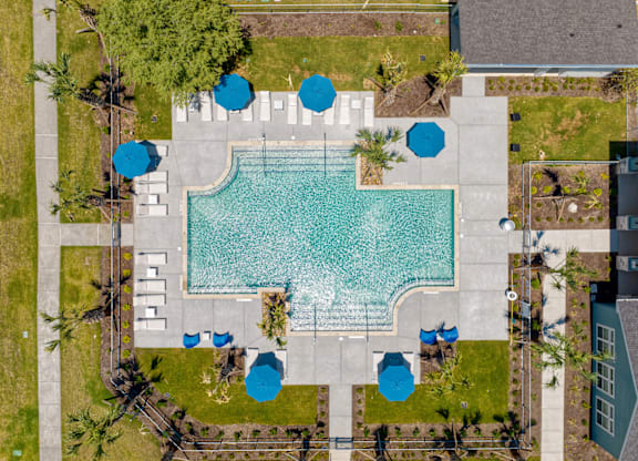 arial view of the pool at the resort at longboat key club