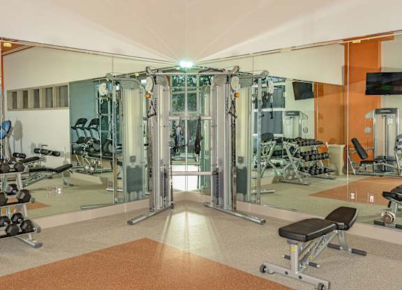 Professional Fitness Center at Allapattah Trace Apartments Miami FL
