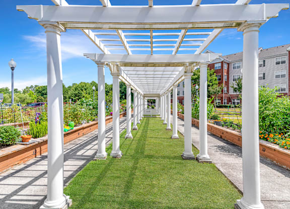 Garden Courtyard at Chester Village Senior Apartments