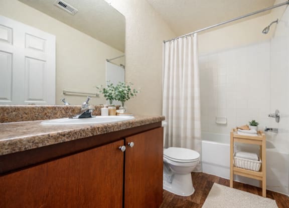 Modern Bathroom at Claymore Crossings Affordable Apartments in Tampa FL