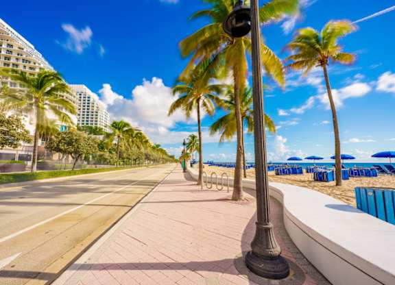 A street with palm trees and a blue sky.