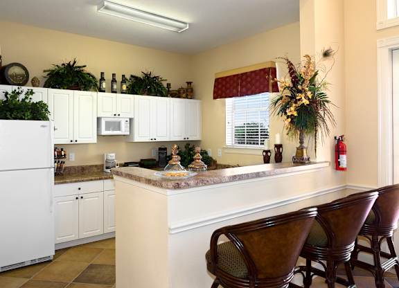 Demo Kitchen at Spring Haven Affordable Apartments in Spring Hill FL
