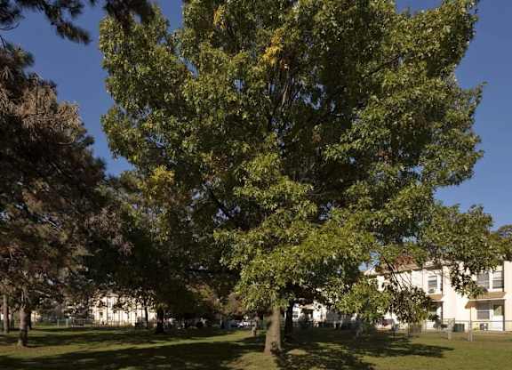 Florence Virtue Apartments in New Haven, CT