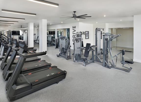 A spacious gym with treadmills, weights, and a fan.