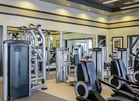 Fitness Center at at The Epic at Gateway Luxury Apartments in St. Pete, FL