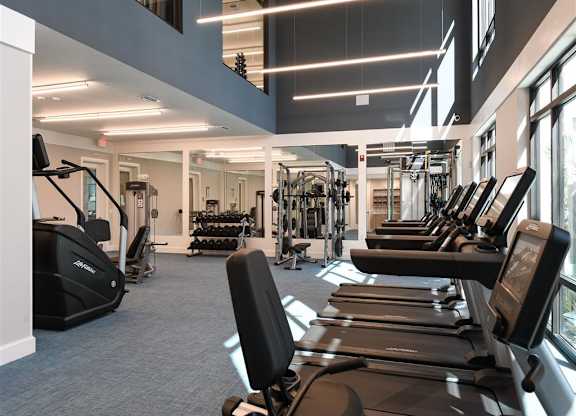Professional Fitness Center at Lyra Luxury Apartments Near Downtown Sarasota, FL