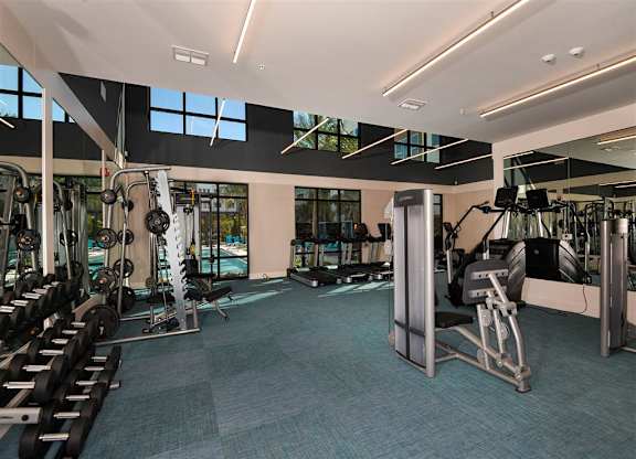 Professional Fitness Center at Lyra Luxury Apartments Near Downtown Sarasota, FL