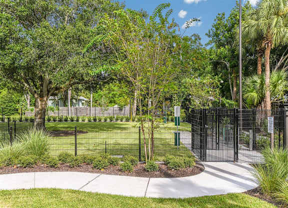 Fenced Pet Park at Lyra Luxury Apartments Near Downtown Sarasota, FL