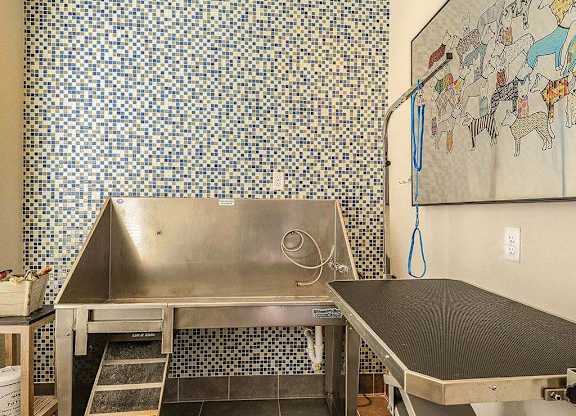 Pet Spa at Aurora Luxury Apartments in Downtown Tampa, FL