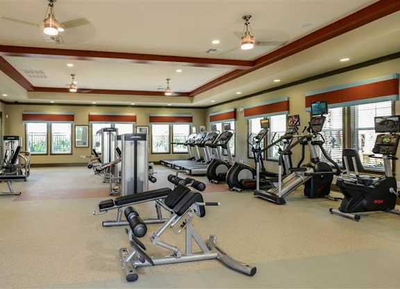 Professional Fitness Center at The Sedona Luxury Apartments in Tampa FL