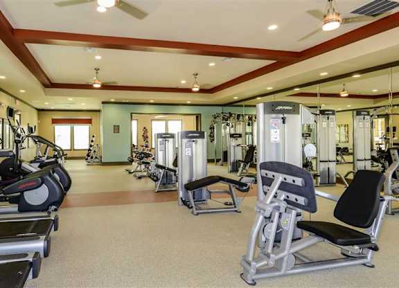 Professional Fitness Center at The Sedona Luxury Apartments in Tampa FL