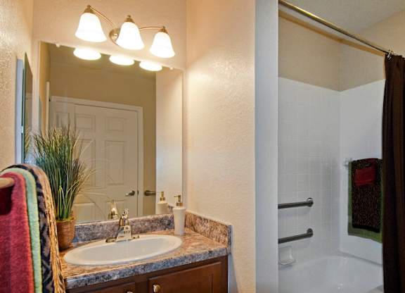 Bathrooms with Grab Bars at Grand Reserve Senior Apartments in Zephyrhills FL