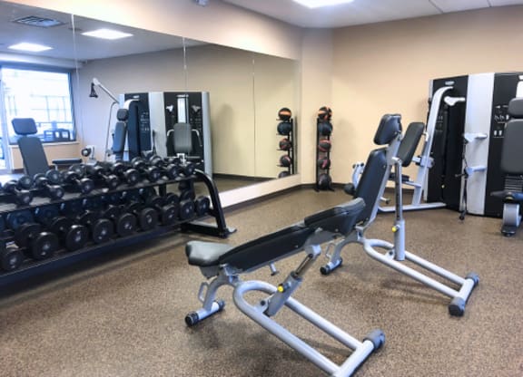 A gym with a bench press and dumbbells.