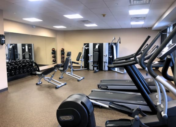 A gym with treadmills, dumbbells, and other equipment.