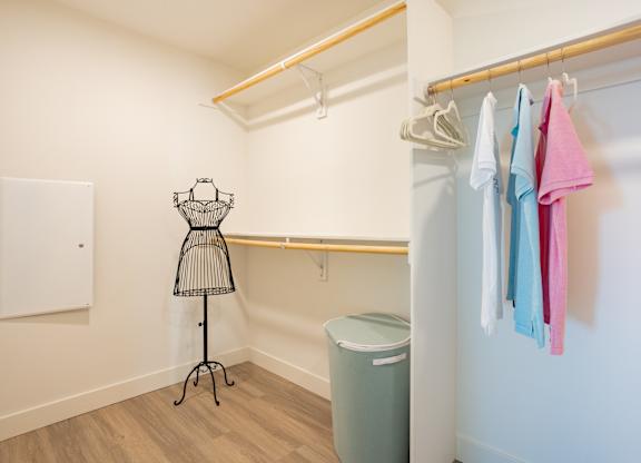 Large walk-in closet at Chandler Apartments in North Hollywood, North Hollywood, CA, 91601