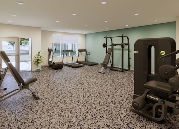 A gym with a variety of equipment including a treadmill, weights, and a bench press.