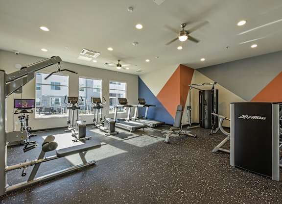 A gym with a variety of equipment including a squat rack, bench press, and a treadmill.