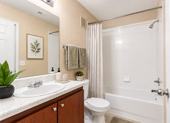 A bathroom with a white toilet, sink, and bathtub.