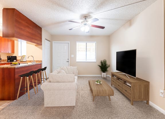 A living room with a bar area and a television.