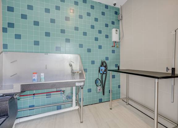 Pet Spa and Wash at Everly Luxury Apartments in Naples FL