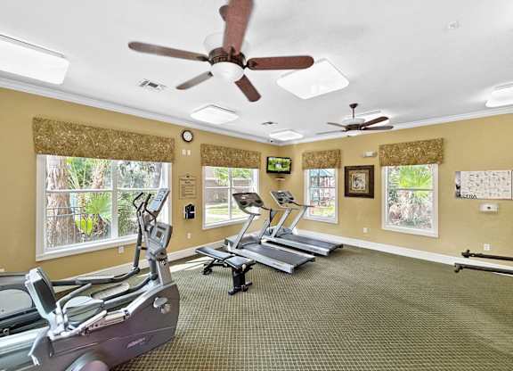 Affordable Apartments with a Gym at Brook Haven in  Brooksville FL