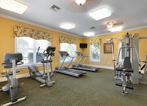 A well-equipped gym with treadmills, elliptical machines, and weight machines.