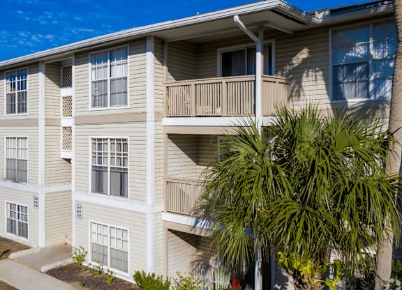 A building with a balcony and a palm tree in front.