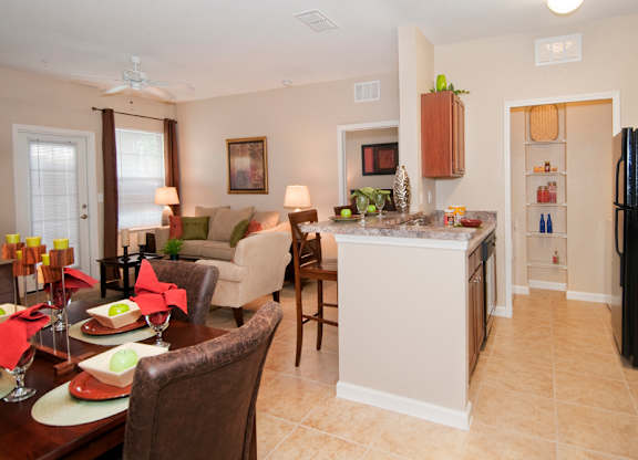 Apartment Interior at Sabal Ridge Affordable Apartments in Tampa FL