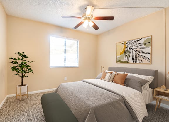 A bedroom with a bed, a ceiling fan, and a potted plant.
