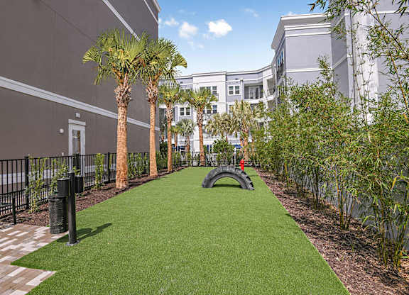 Pet Park at The Foundry Luxury Apartments in Tampa FL