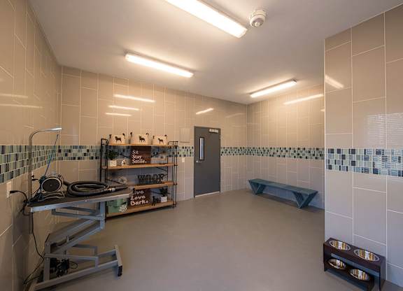 Pet Spa at Parc at White Rock Luxury Apartments in Dallas TX