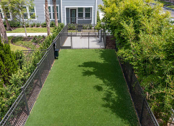 Fenced Pet Park at Waverly Terrace Luxury Apartments in Temple Terrace, FL