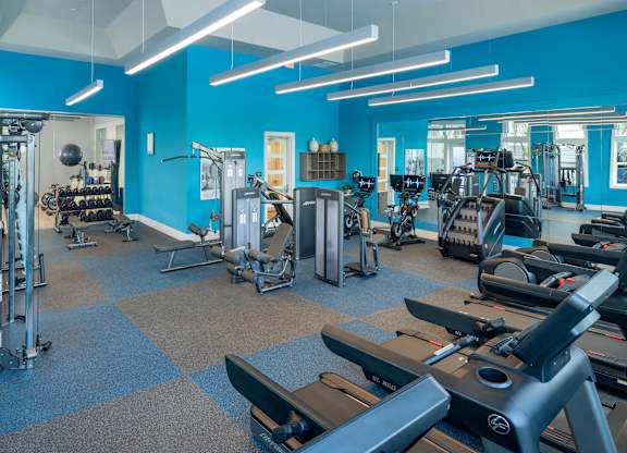 Fitness Center at Waverly Terrace Luxury Apartments in Temple Terrace, FL