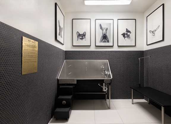 Pet Spa and Wash at The Marc Luxury Apartments in Palm Beach Gardens FL