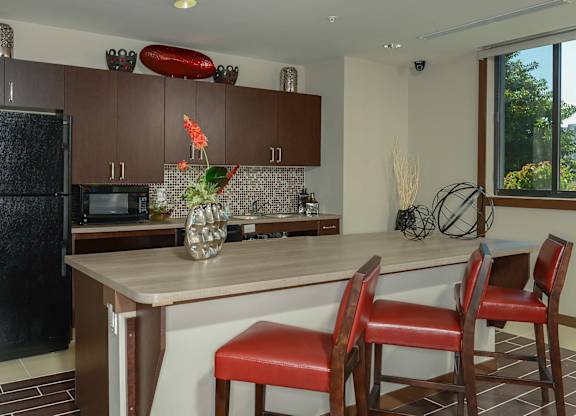 Demo Kitchen at West Brickell Tower Senior Apartments in Miami