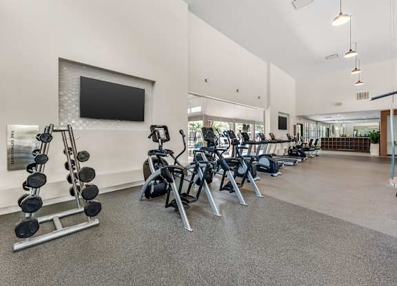 A gym with a variety of equipment including dumbbells, weight machines, and a flat screen TV.