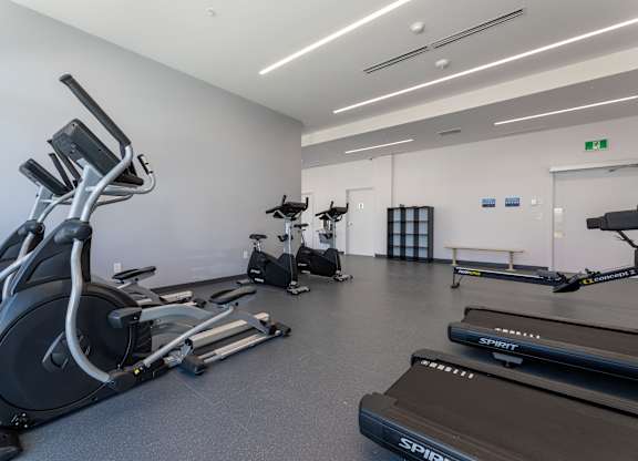 A gym with treadmills, elliptical machines, and a stationary bike.