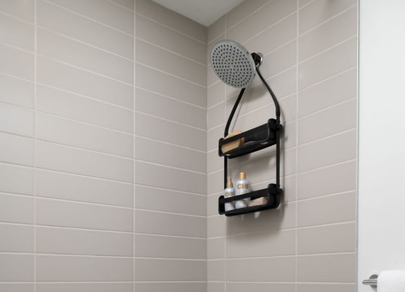 Bathroom Interior View