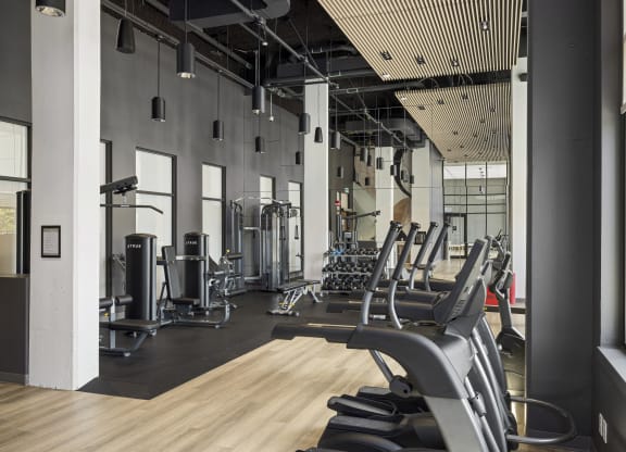 a row of cardio machines in a gym