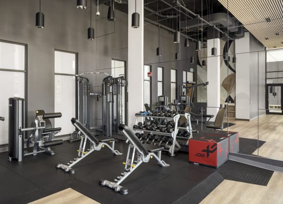 a fitness room with weights and other exercise equipment