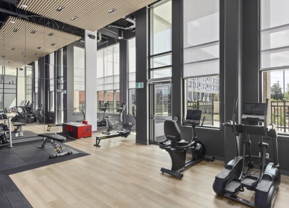 a gym with weights and cardio machines and floor to ceiling windows