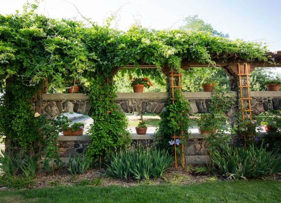 garden with planters