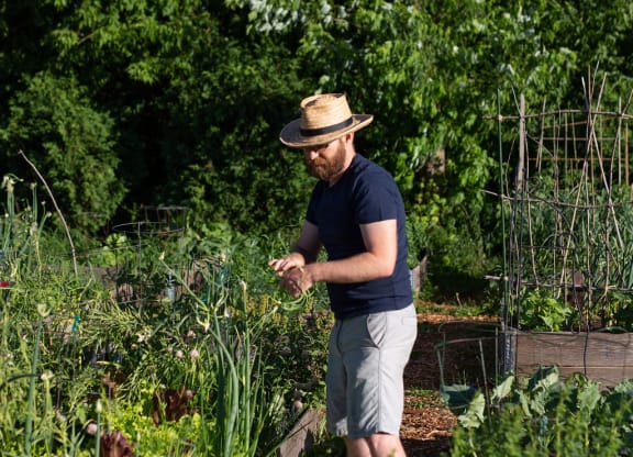 man planting vegetables in garden