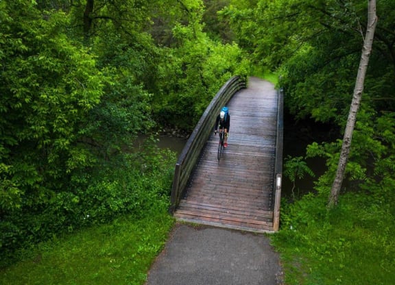 a person riding a bike on a bridge